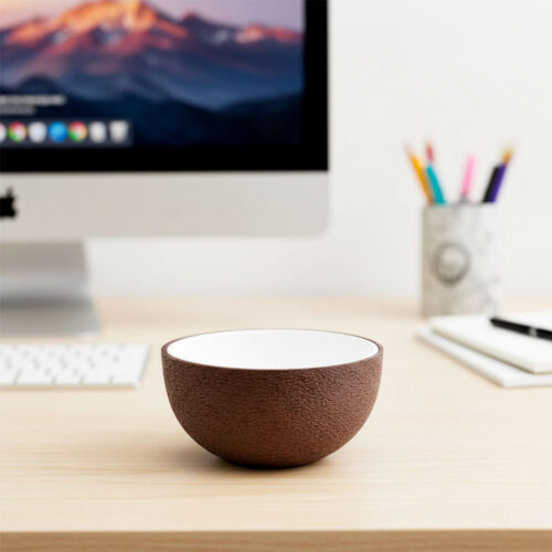 Cocopot Soraire Design Contenedor Coco Organizador Escritorio Bowl 2 en 1 Deco