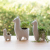Llama Maceta Contenedor Cactus Suculenta Soraire Design Jardin Marmol Impresion 3D Decoracion Hogar (7)
