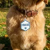 Chapita para Mascotas 3D Impresion Soraire Design Hexagono - 40x45mm Adelante Perros (1)