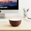 Cocopot Soraire Design Contenedor Coco Organizador Escritorio Bowl 2 en 1 Deco