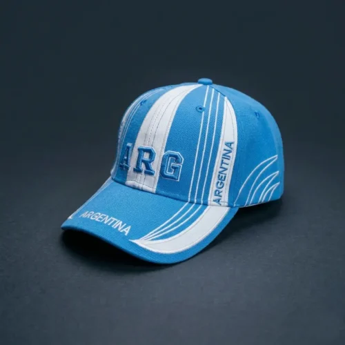 Gorra vicera curva Bordada Argentina - Lineas y franjas (3)