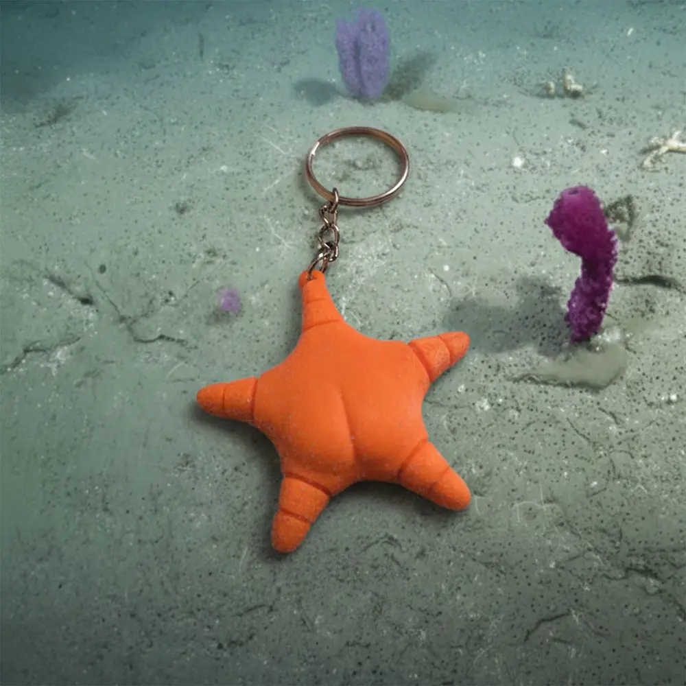 Llavero 3D Impresion Estrella Culona Conicet Soraire Design (1)